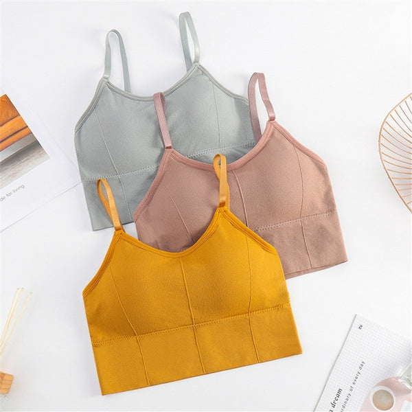 Cotton Padded Wire Free Sports Bra - Pack of 3