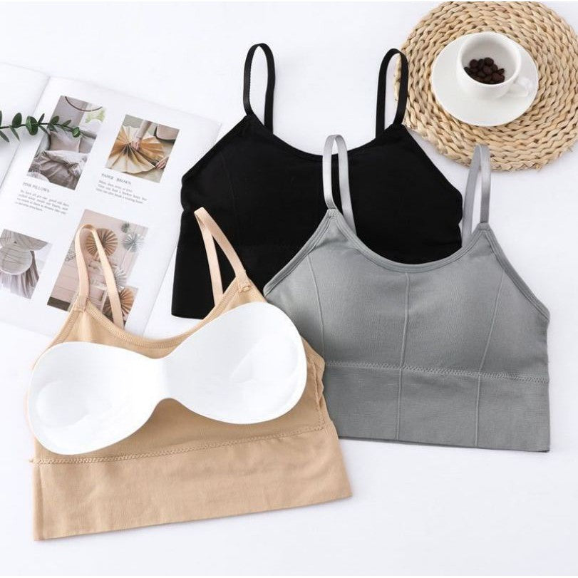 Cotton Padded Wire Free Sports Bra - Pack of 3