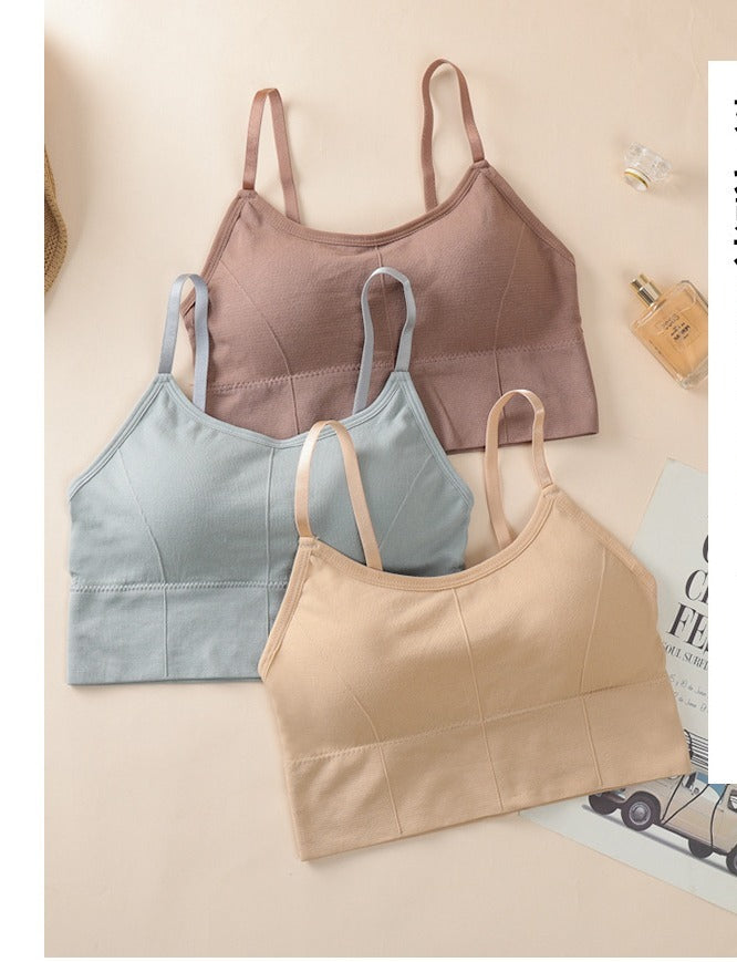 Cotton Padded Wire Free Sports Bra - Pack of 3