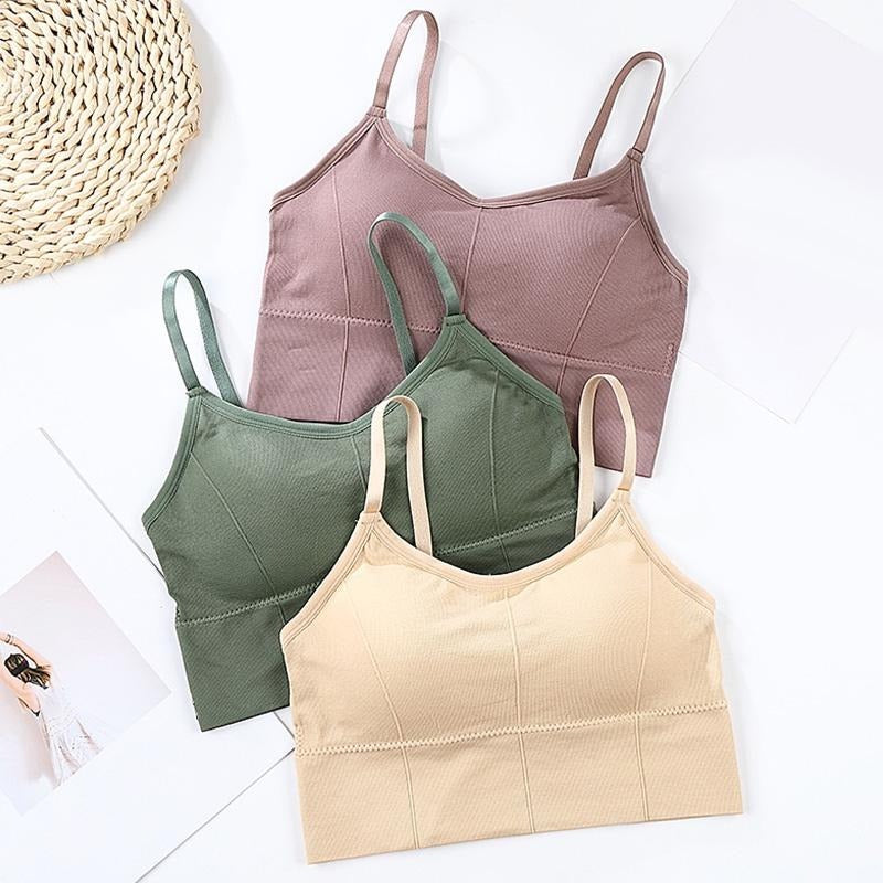 Cotton Padded Wire Free Sports Bra - Pack of 3