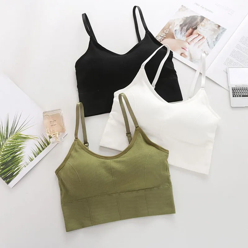 Cotton Padded Wire Free Sports Bra - Pack of 3
